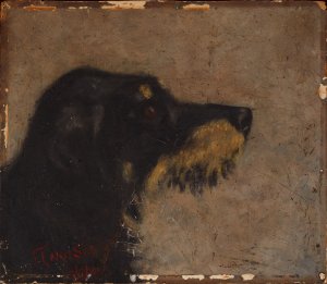 DSC_1994A.jpg