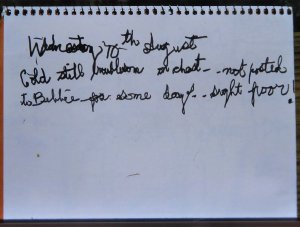 P1060931edit.jpg