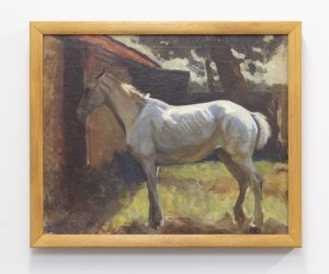 Untitled-[The-White-Horse]_35A6020.jpg