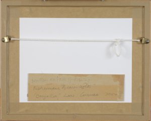 bc103-back.jpg