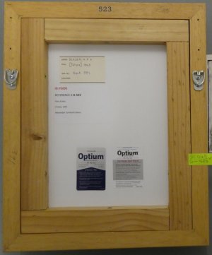 p1060204-crop.JPG