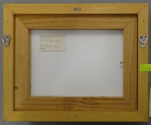 p1060219-crop.JPG