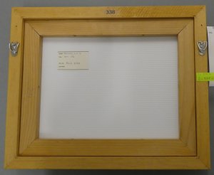 p1060213-crop.JPG