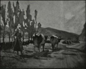 BC139-CSA-1919-pg17crop.jpg